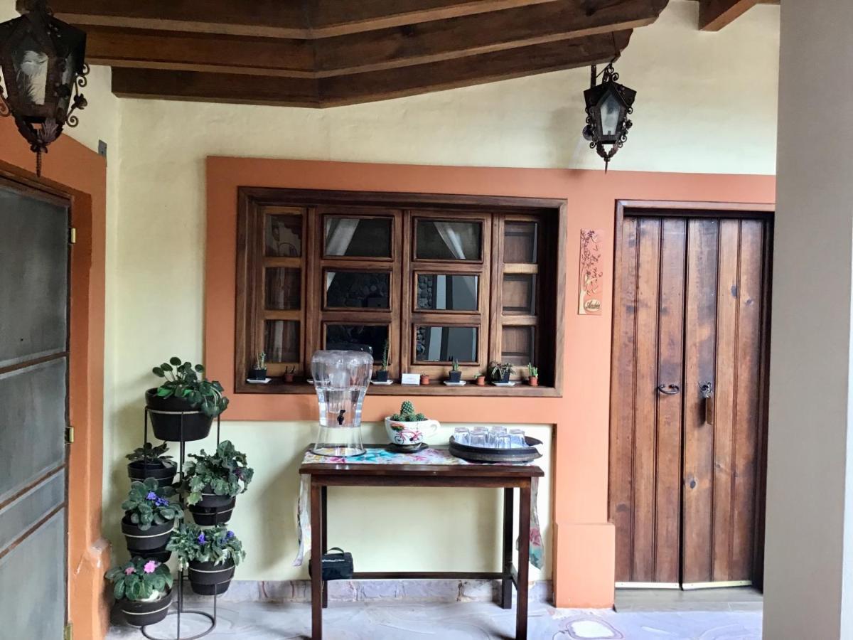 Casa Tia Anita, Hotel Boutique Mascota Luaran gambar